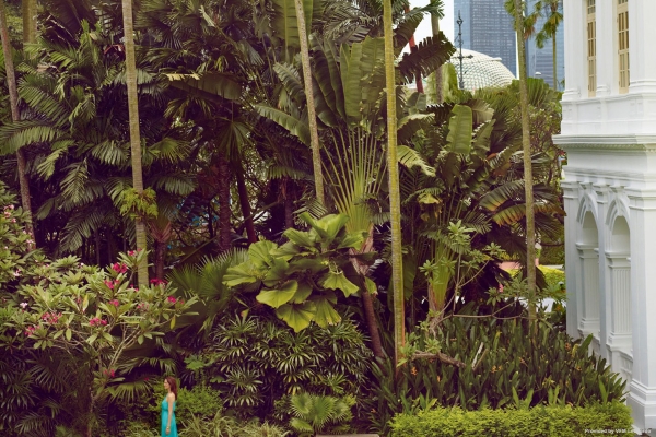 Hotel Raffles Singapore (Singapur)